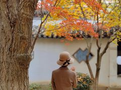 -常熟方塔园