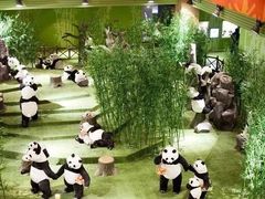 -成都泰迪熊博物馆