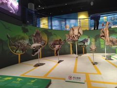 -国家自然博物馆