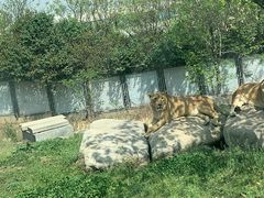 -西安秦岭野生动物园