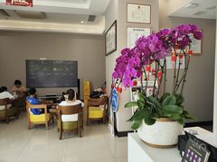 -土豆口腔(凤凰北总店)