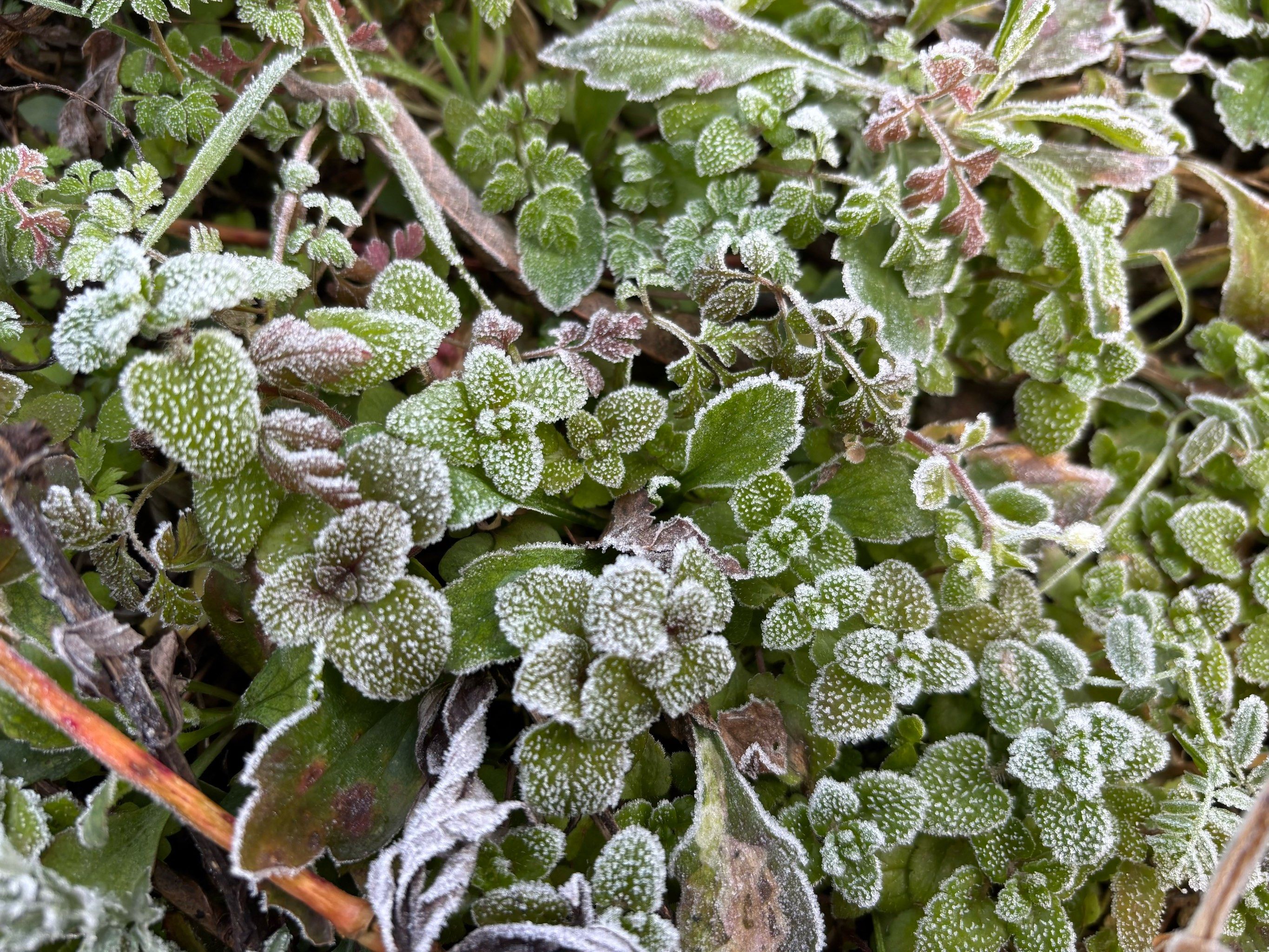 天气好冷今日情况