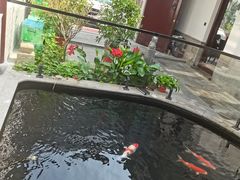 -华庭苑农家乐(旺山店)