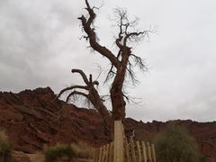 -新疆天山托木尔景区·大峡谷