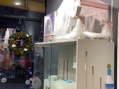 -熊小胖宠物生活馆(天华园店)
