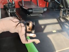 -英特健身俱乐部