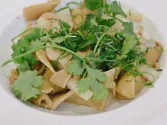 鲜沙姜捞羊肚-新兴家喻酒家·羊城名宴(昌岗店)