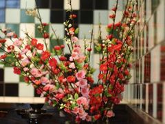 IMG_1475-Pasha帕夏土耳其餐厅(南昌路店)