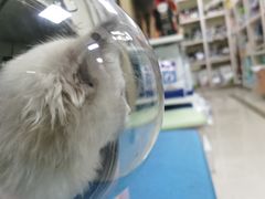 -美联众合爱康动物医院•复杂内科•肿瘤科•牙科•腔镜诊疗中心