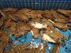 -蓝钻·国际美食海鲜自助百汇(西直门店)