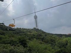 -富斯特索道