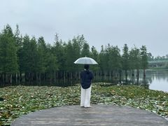 -白鹭湾湿地公园