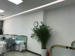 -悟空祛痘·亚健康皮肤管理中心