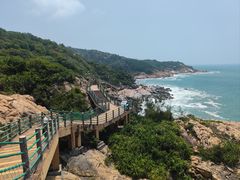 -广东惠东海龟国家级自然保护区
