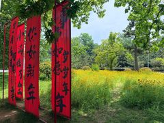 -日照海滨国家森林公园