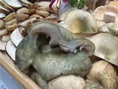 -一朵菌·野生菌探索家火锅(南亚店)