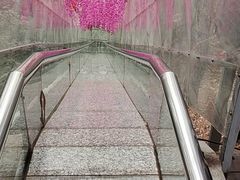 -浏阳石牛寨风景区