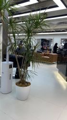 点击看大图 -HaLo hair studio