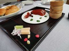 -梧桐