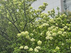 -杭州师范大学(下沙校区)