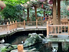 -南宫五洲植物乐园