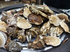 -沿海渔家院蒸汽海鲜·东北菜(东戴河店)