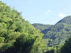 -四明山国家森林公园