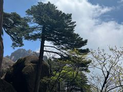 -黄山风景区