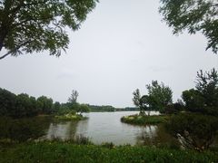 -东郊湿地公园