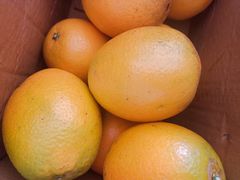 -南京环北服装批发市场