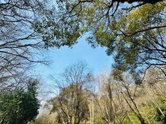 -南山风景名胜区