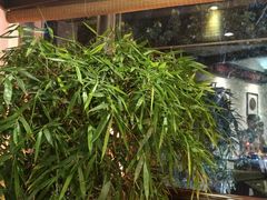 -皇城老妈·大连海鲜火锅(港湾店)