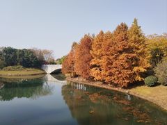 -尚贤河湿地