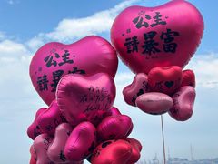 -悦海公园