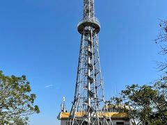 -风云岭森林公园