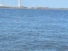 -上海吴淞炮台湾国家湿地公园