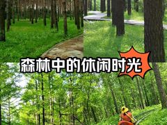 -长春净月潭风景名胜区