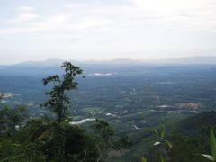 -海南热带雨林国家公园吊罗山景区