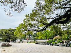 -江心屿景区