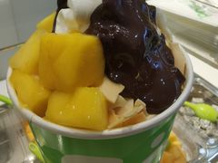 -Salud撒露欧洲冻酸奶(蓝色港湾店)
