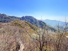 -大岭沟猕猴桃谷风景区