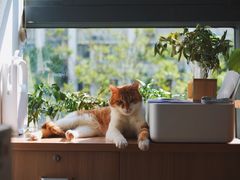 -灵美宠物诊所