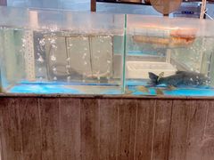 -丹江渔村(首都机场店)