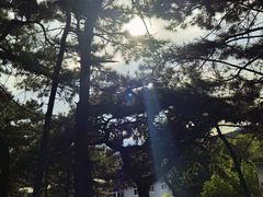 -红螺寺