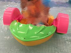 -南宫温泉水世界