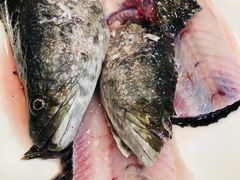 -活鱼馆(宜兴埠店)