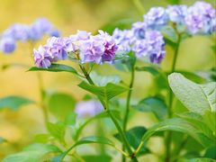 -东怡大酒店(上海科技馆店)