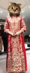 -南京宝娜嫁衣婚纱礼服馆(中央路店)