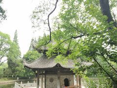 -习家池