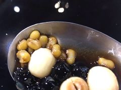 仙草1号-鲜芋仙(铁西万象汇店)